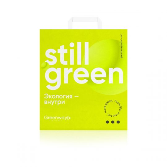 Пакет “Still green” большой, 37 х 32 х 20 см